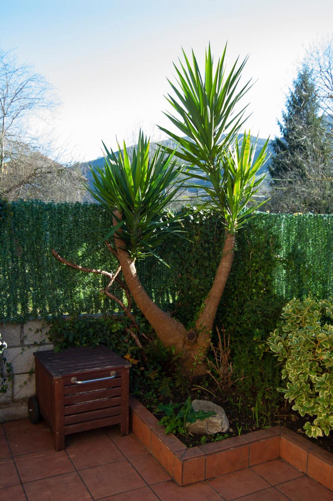 Casa En Villa Termal Las Caldas Luaran gambar